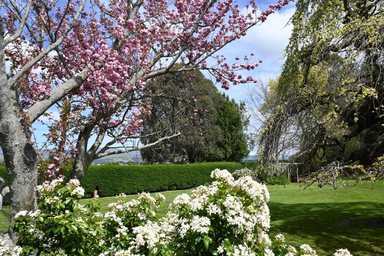 بلينهايم St Leonards Vineyard Cottages المظهر الخارجي الصورة
